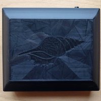 2025 Instruo Seashell Cover Black new