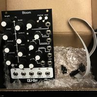 2021 - Present Qu-Bit Electronix Bloom Black used