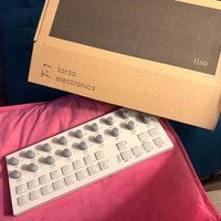 2024 Torso T1 (white) White used