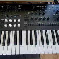 used 2020 - 2023 Korg Wavestate 37-Key Wave Sequencing Synthesizer ...