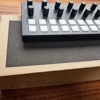 2024 Torso Electronics T1 Black used