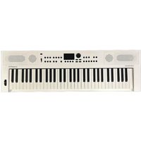 2024 - Present Roland GO:KEYS 5 Music Creation Keyboard (Pre-O... used