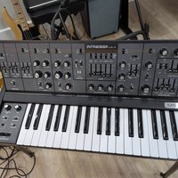 2024 - Present Behringer MS-5 37-Key 2-Voice Synthesizer Black used