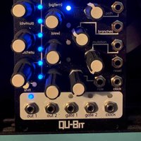 2019 - Present Qu-Bit Electronix Bloom Black used