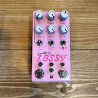2023 - Present Chase Bliss Audio Lossy Pink used