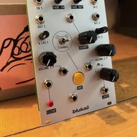 2022 - Present Bluka Endless Processor Eurorack Module Silver used