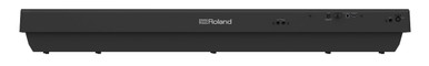 Roland FP30X Digital PORTABLE Piano in Black - Includes DP-2 Sustain Pedal - Image 4