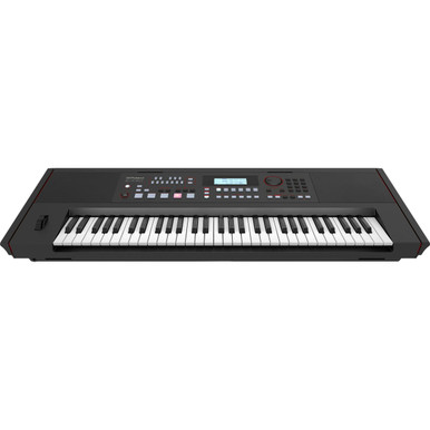 Roland E-X50 Entertainment Keyboard - Image 4