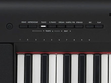 Yamaha Piaggero NP15 in Black - Image 3