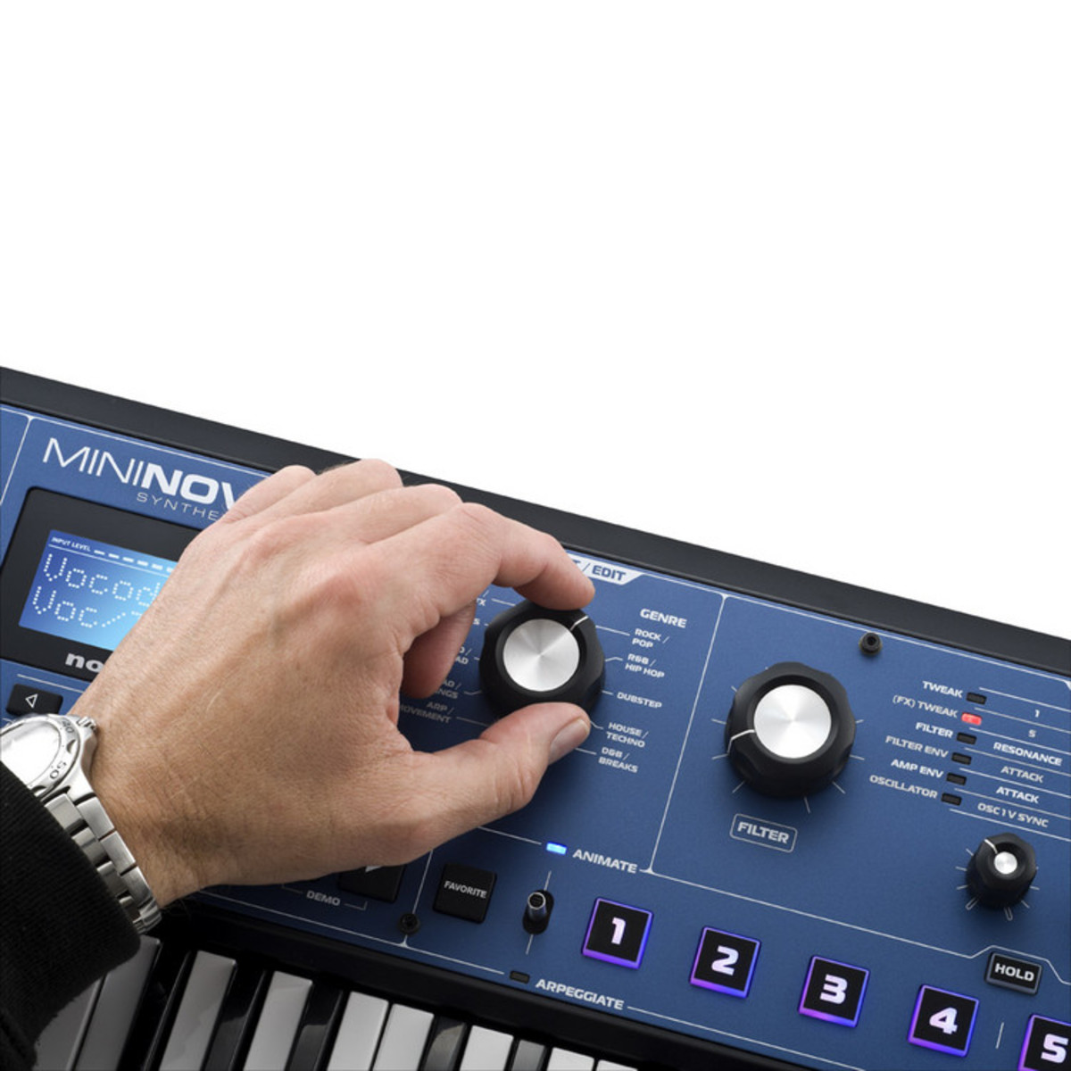 Novation MiniNova Synthesizer - Image 3