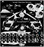 Noise Engineering Cursus Iteritas Percido - Eurorack - Image 3