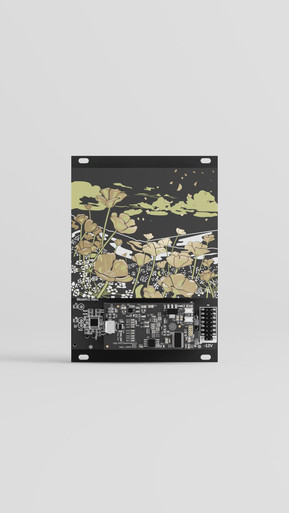 Qu-Bit Electronix Bloom v2