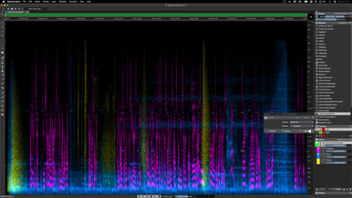 Steinberg DAC SpectraLayers Pro 12 Retail Crossgrade - Image 2