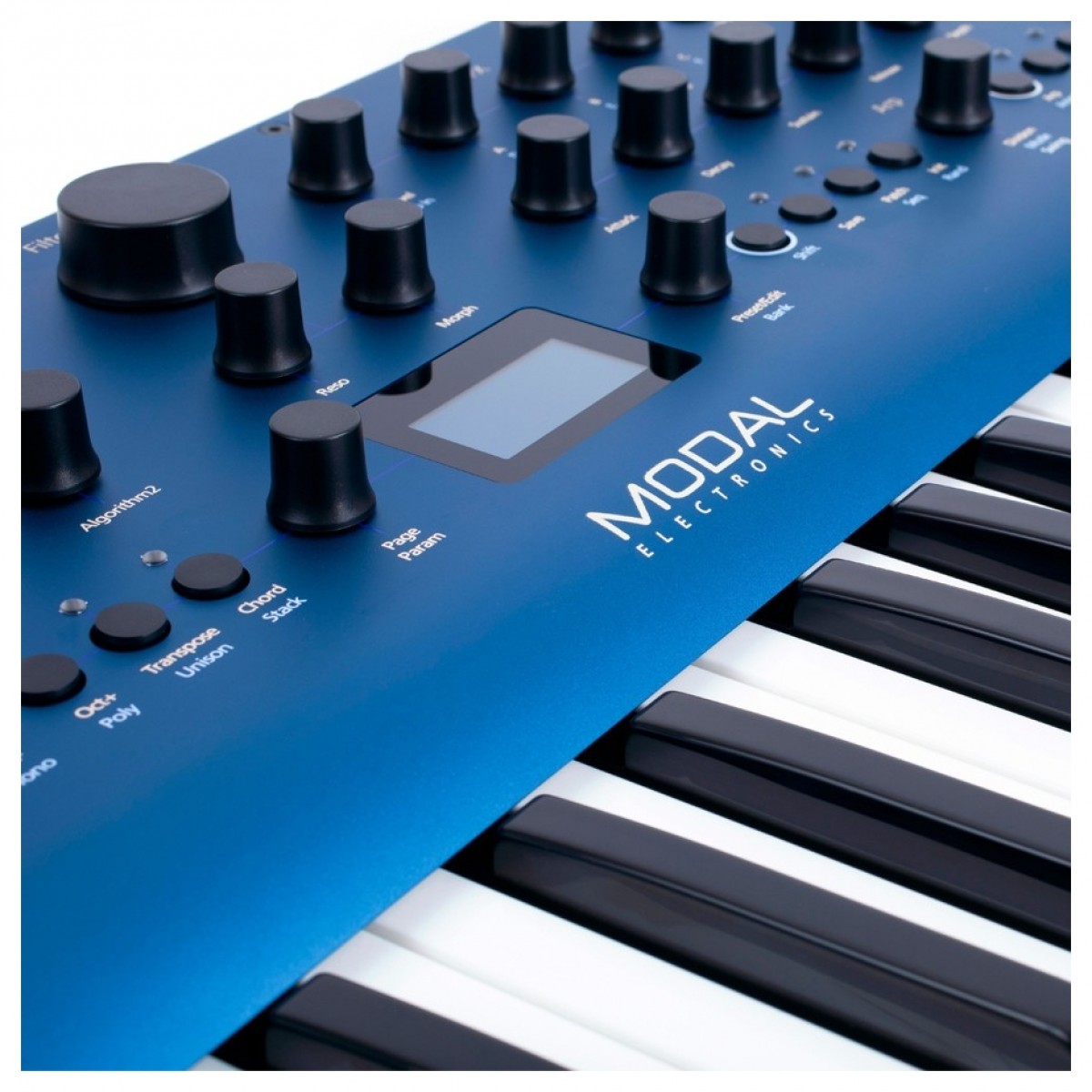 Modal Electronics COBALT8 Virtual Analog Synthesizer - Image 3