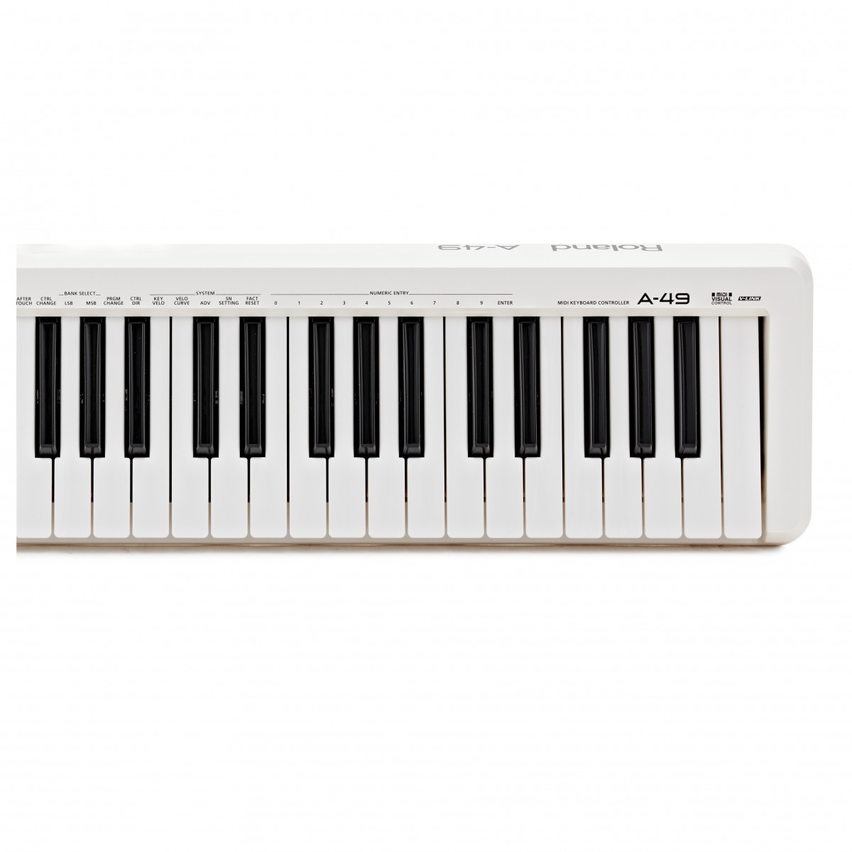Roland A-49 MIDI Controller Keyboard White - Image 4