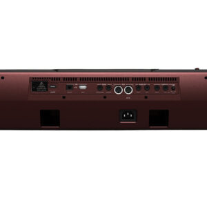 Korg Pa1000 Professional Arranger - Image 5
