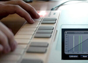 Korg nanoKEY2 MIDI Keyboard in White - Image 2
