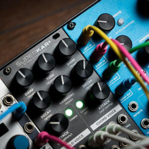 Strymon Superkar Plus 32-Voice Karplus Strong Synth Module - Image 5
