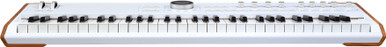 Arturia AstroLab 61 Stage Keyboard