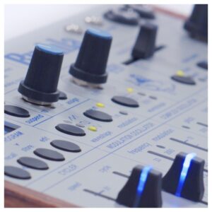 Buchla Ziggy Analog Desktop Synthesizer - Image 4
