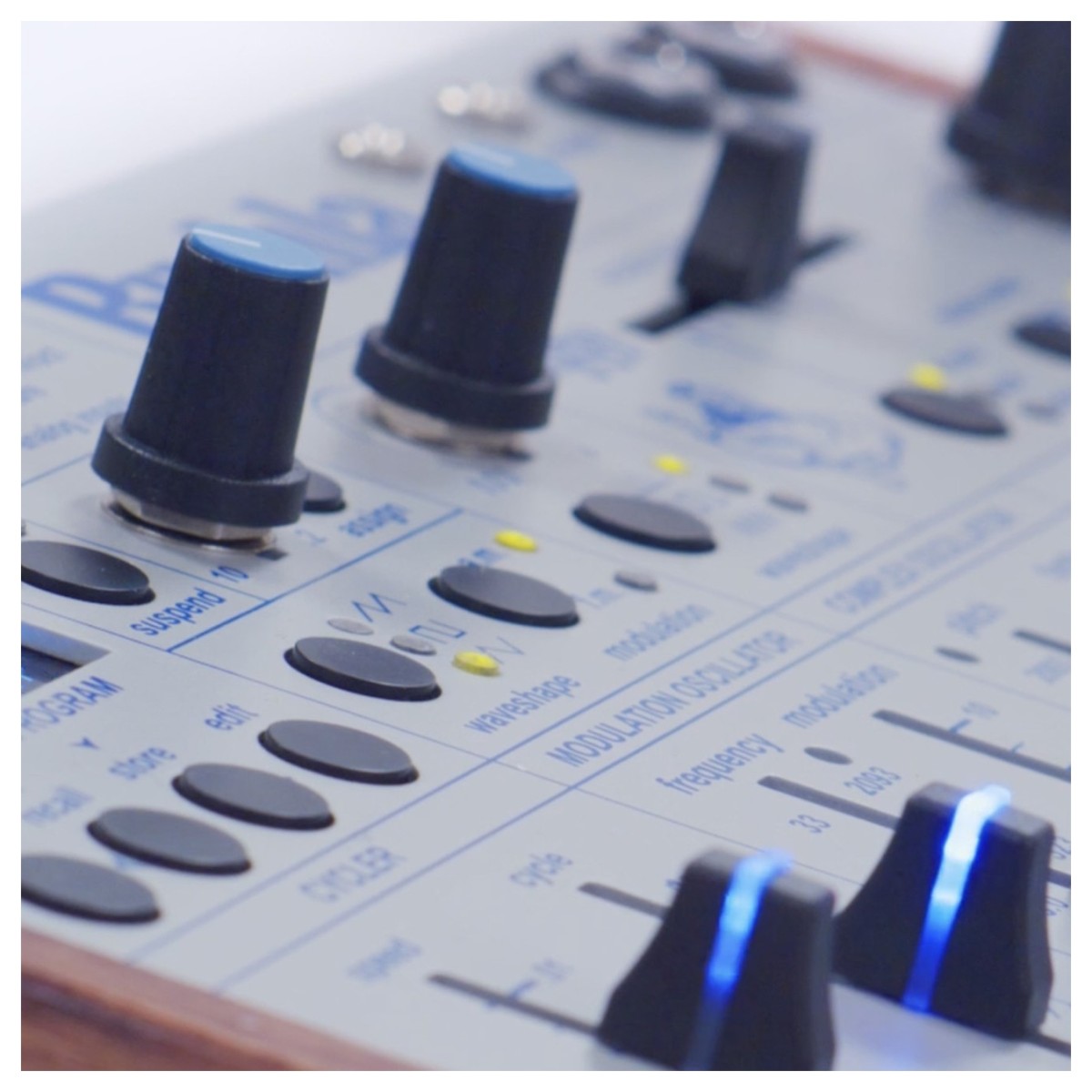 Buchla Ziggy Analog Desktop Synthesizer - Image 4