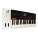 Nektar Panorama P4 Keyboard Controller