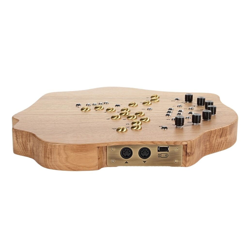 SOMA Laboratory Terra Organic Microtonal Synthesizer Light