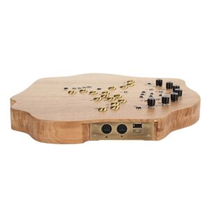 SOMA Laboratory Terra Organic Microtonal Synthesizer Light - Image 2