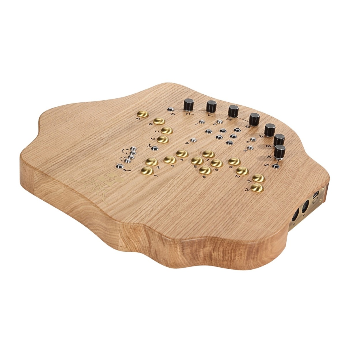 SOMA Laboratory Terra Organic Microtonal Synthesizer Light - Image 4